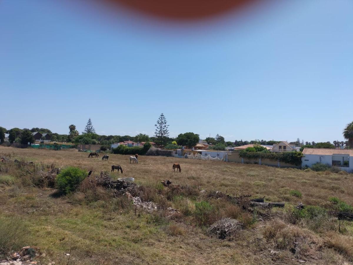 Villa Antonia Chipiona Esterno foto